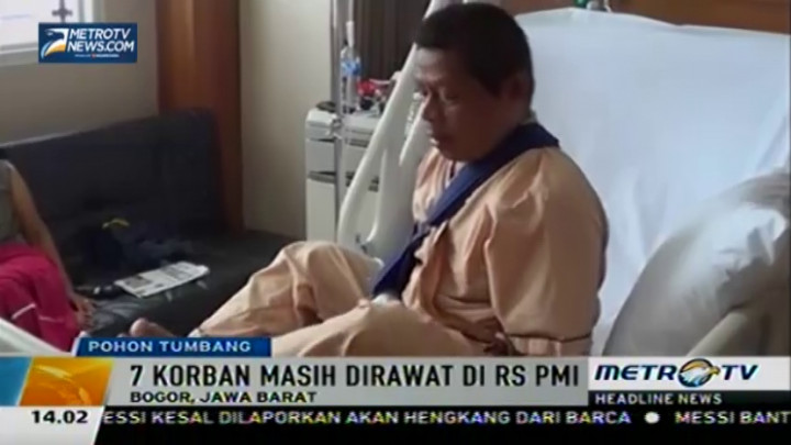 Tujuh Korban Pohon Tumbang Masih Dirawat di RS PMI Bogor