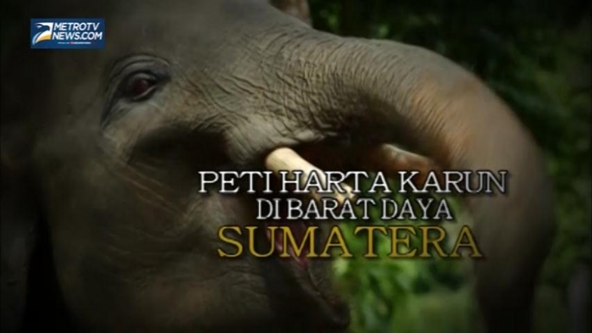 Peti Harta Karun di Barat Daya Sumatera