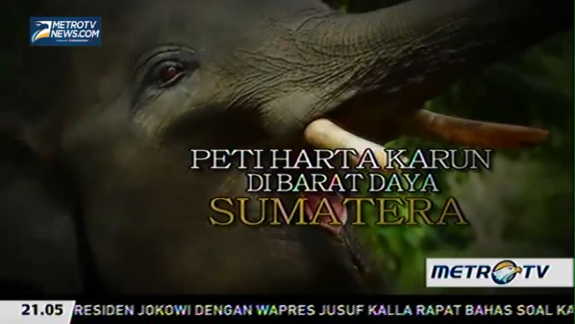 Peti Harta Karun di Barat Daya Sumatera (1)