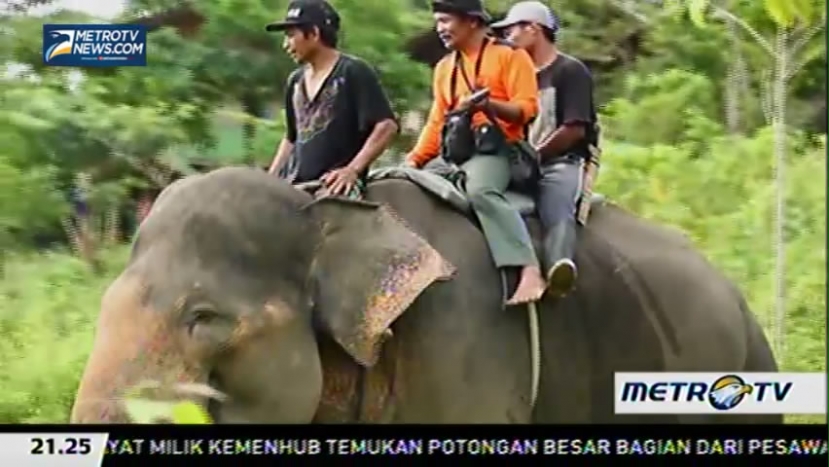 Peti Harta Karun di Barat Daya Sumatera (3) 