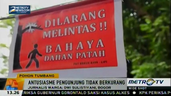 Kebun Raya Bogor Tetap Ramai Pengunjung