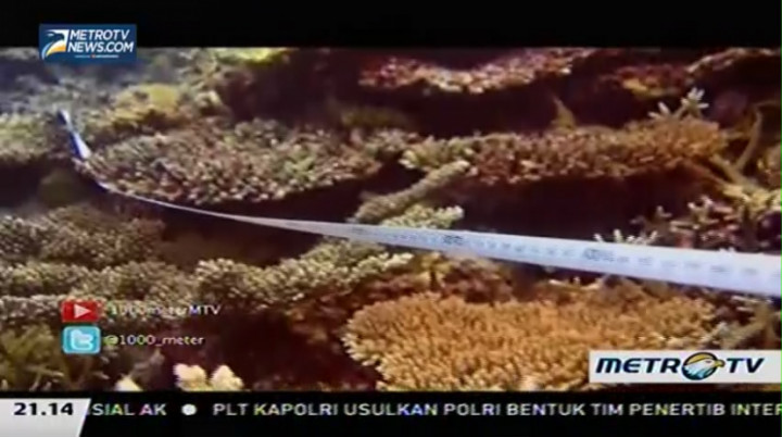 Sepetak Harapan di Laut Tiaka  (2)