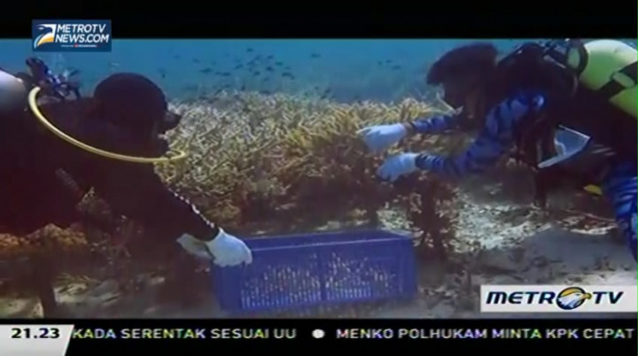 Sepetak Harapan di Laut Tiaka (3)