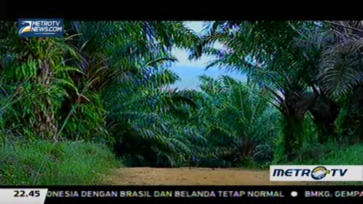 Maju Mundur Eksekusi Register 40 (2)