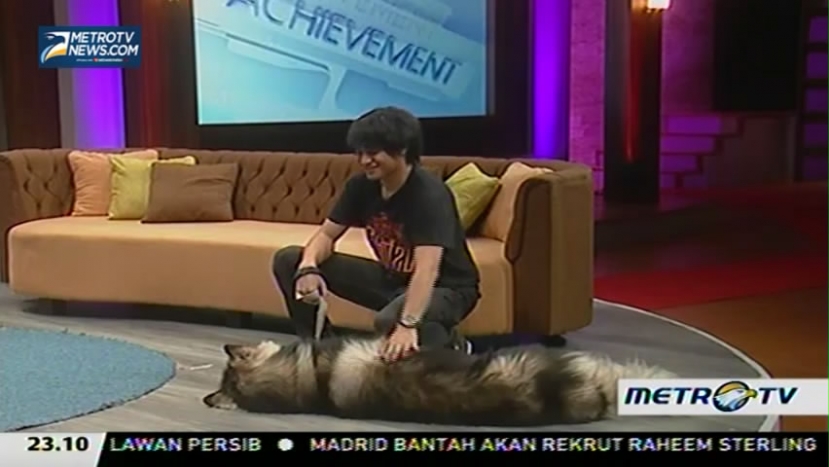 My Pets My Soulmate (1)