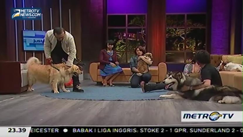 My Pets My Soulmate (4)