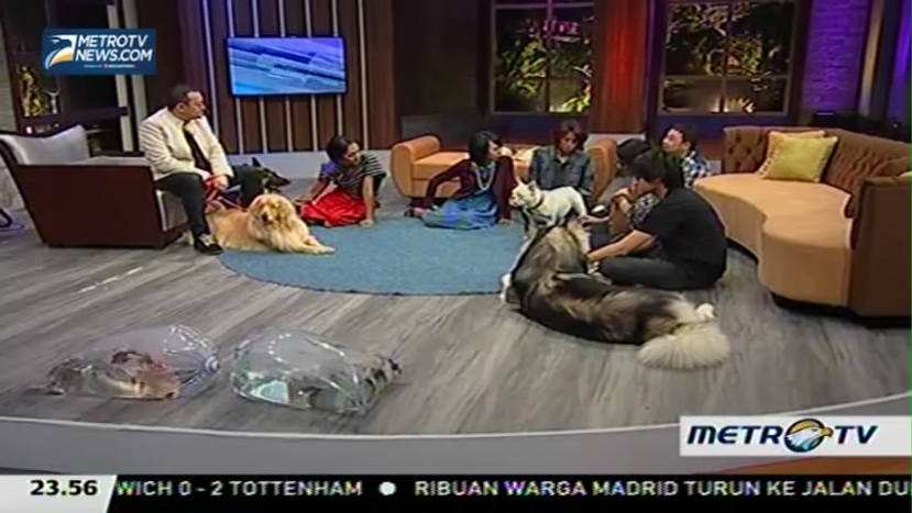 My Pets My Soulmate (5)