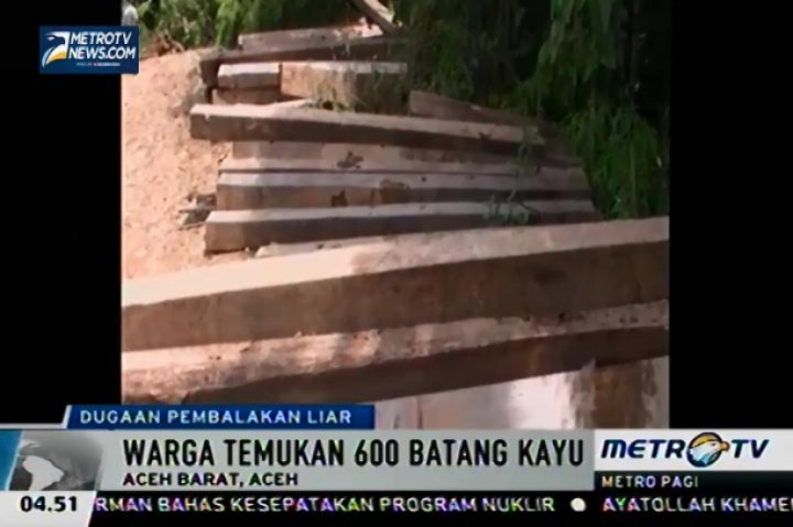 Warga Temukan Ratusan Balok Kayu yang Diduga Illegal Logging