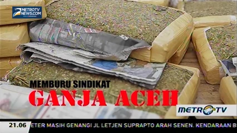 Memburu Sindikat Ganja Aceh (1)