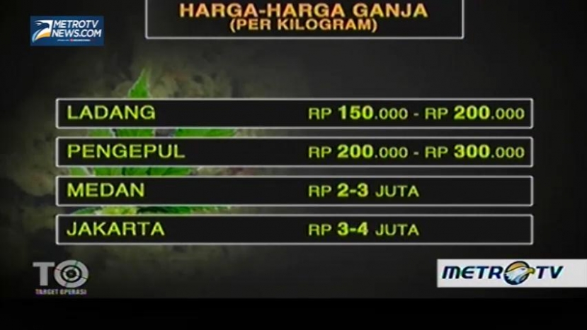 Memburu Sindikat Ganja Aceh (2)