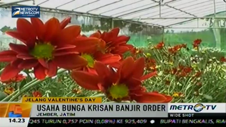 Jelang Hari Valentine, Usaha Bunga Banjir Order