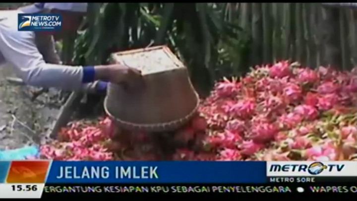 Jelang Imlek, Permintaan Buah Naga Melonjak