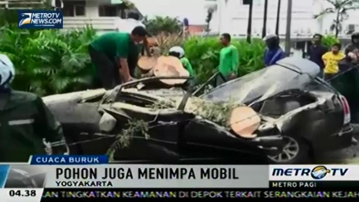 1 Tewas dan 1 Kritis Tertimpa Pohon Tumbang