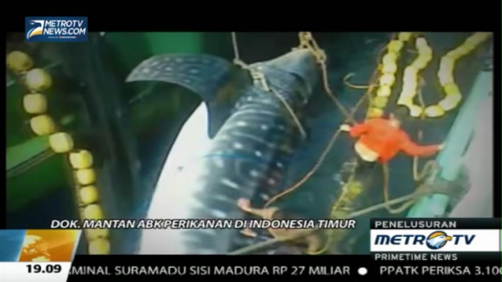 Mengikuti Aksi Satgas Pemberantasan Pencuri Ikan