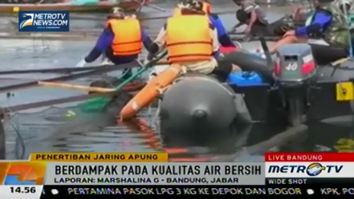 23 Ribu Petak Jaring Apung di Jatiluhur Dibongkar