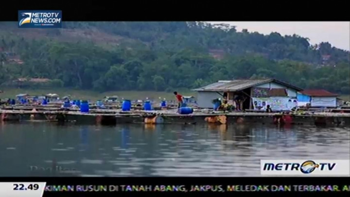 Salah Urus Waduk Jatiluhur (2)