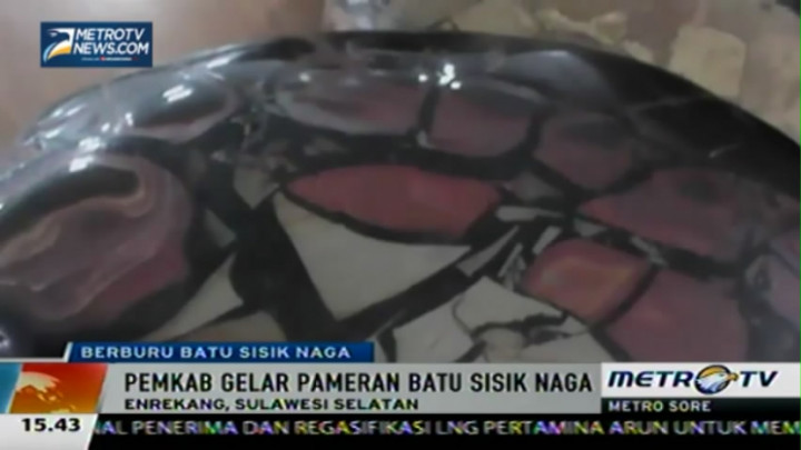 Pemkab Enrekang Gelar Pameran Batu Sisik Naga