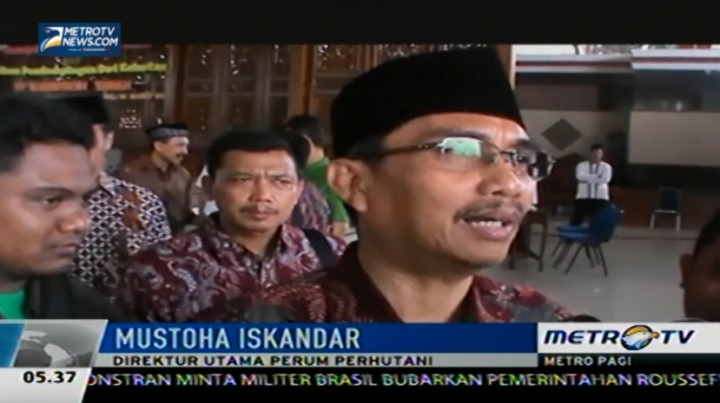 Perhutani Bantah Pernah Laporkan Nenek Asyani 