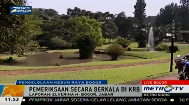 Insiden Pohon Tumbang Tak Pengaruhi Minat Pengunjung KRB 