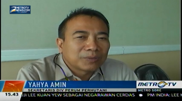 Perhutani: Kasus Nenek Asyani Tidak Bisa Dicabut