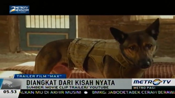 Max, Film Tentang Anjing Militer