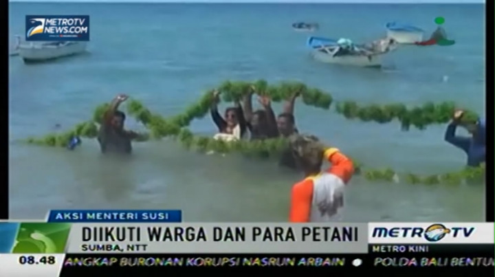 Menteri Susi Menceburkan Diri ke Laut