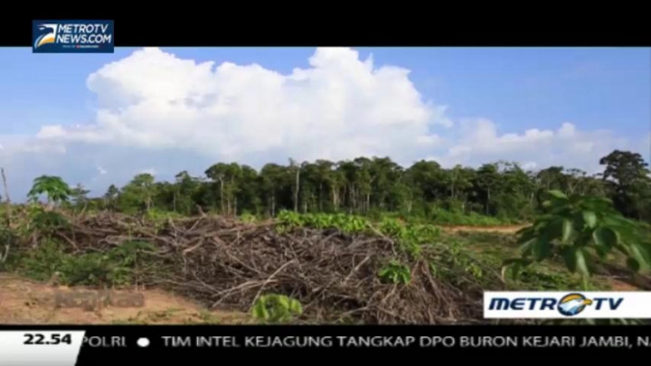 Yang Tergusur dari Rimba (3)