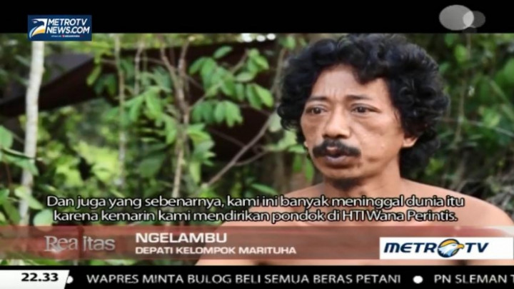 Etnosida Mengancam Orang Rimba? (1)