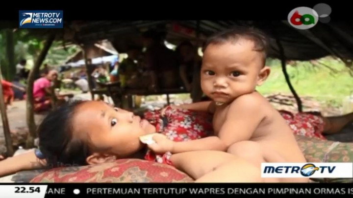 Etnosida Mengancam Orang Rimba? (3)