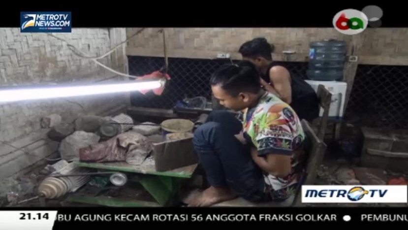 Kembali ke Zaman Batu (2)