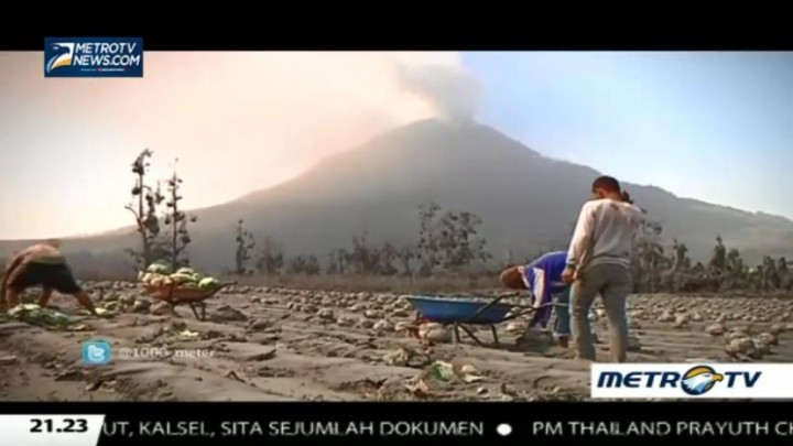 Di Bawah Awan Maut Sinabung (3) 