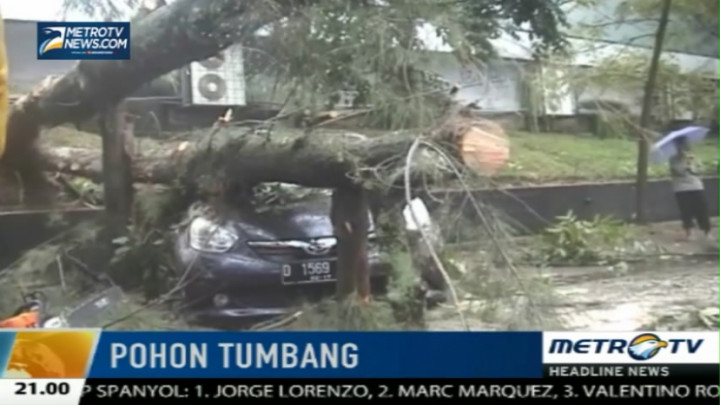 Angin Kencang Sebabkan Pohon Tumbang Menimpa Mobil 