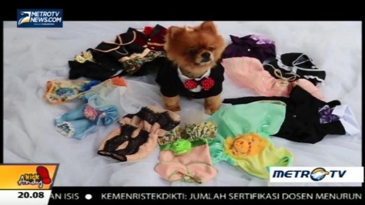 Jasa Unik Nan Kreatif (1)