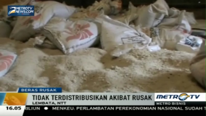 Ribuan Kilogram Raskin Rusak Menumpuk di Lembata