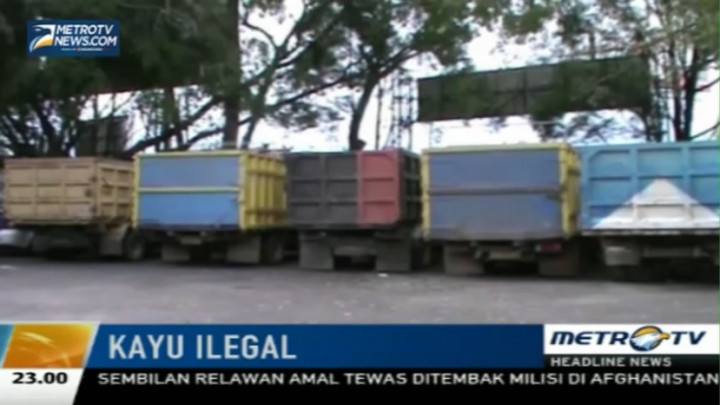 Dishut Kalteng Amankan 5 Truk Pembawa Kayu Ilegal 
