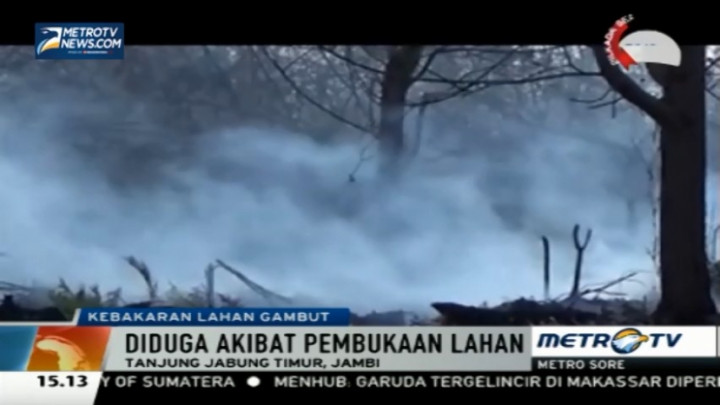 Ratusan Hektare Lahan Gambut Terbakar
