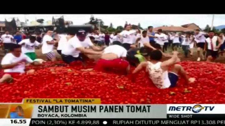 Festival <i>La Tomatina</i> Habiskan Puluhan Ton Tomat