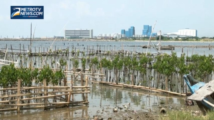 Merana di Teluk Jakarta