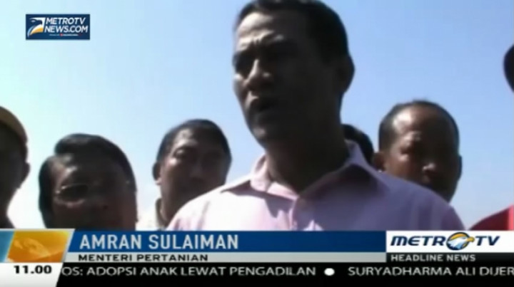  Jelang Ramadan, Mentan Klaim Stok Bawang Merah Mencukupi