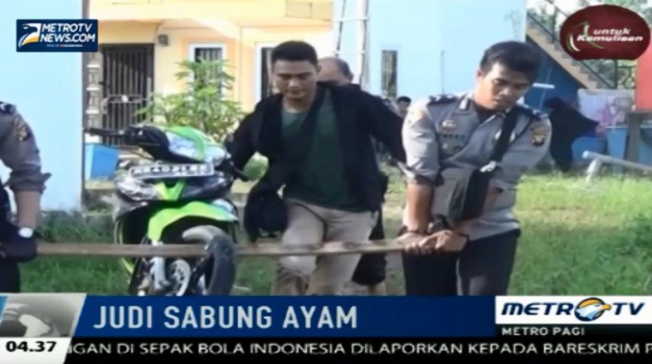 Lokasi Judi Sabung Ayam Digerebek