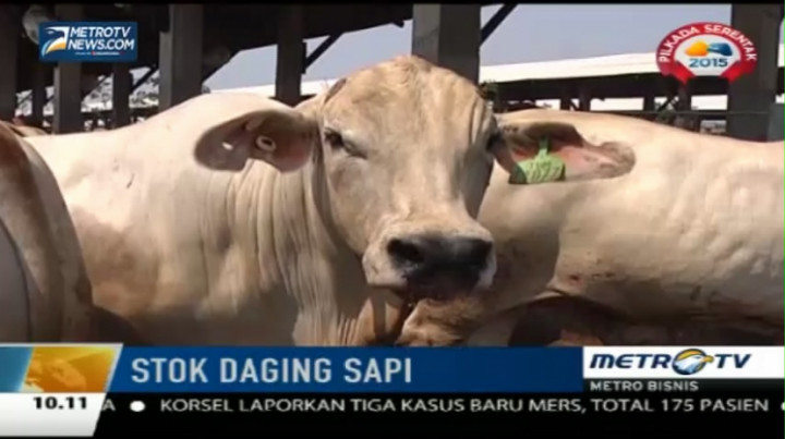 Jelang Lebaran, Mendag Pantau Langsung Stok Daging Sapi