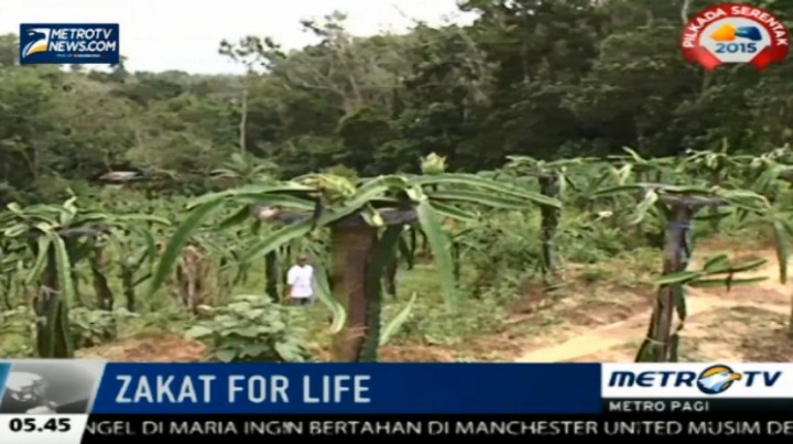 Dari Zakat 80 KK Petani Dhuafa Kini Miliki Penghasilan yang Baik