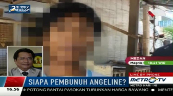 Kasus Angeline, Hotman: Banyak Bukti dan Petunjuk yang Janggal 