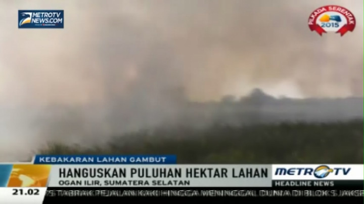 Kebakaran Lahan Gambut Dikhawatirkan Ganggu Arus Mudik