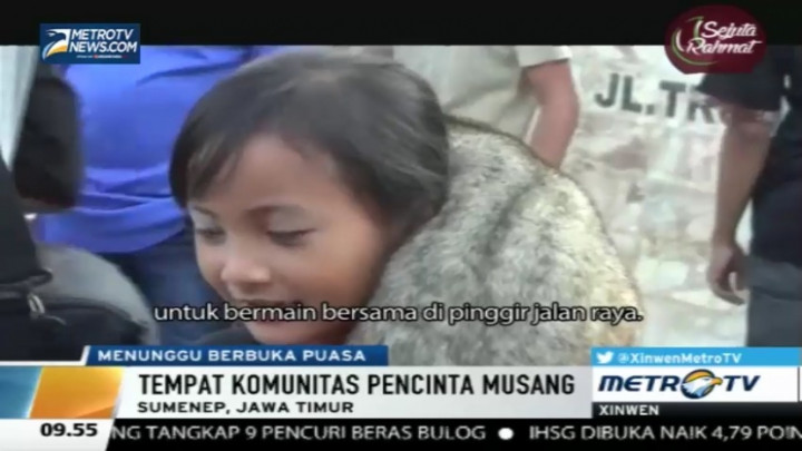 Ngabuburit Bersama Musang ala Warga Sumenep 