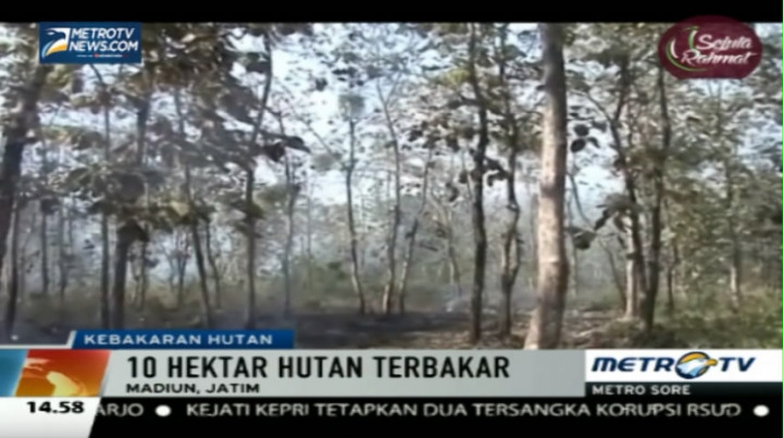 10 Hektare Hutan di Madiun Hangus Terbakar