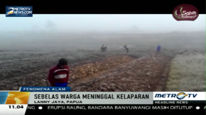 Sebelas Orang Meninggal Kelaparan di Lanny Jaya