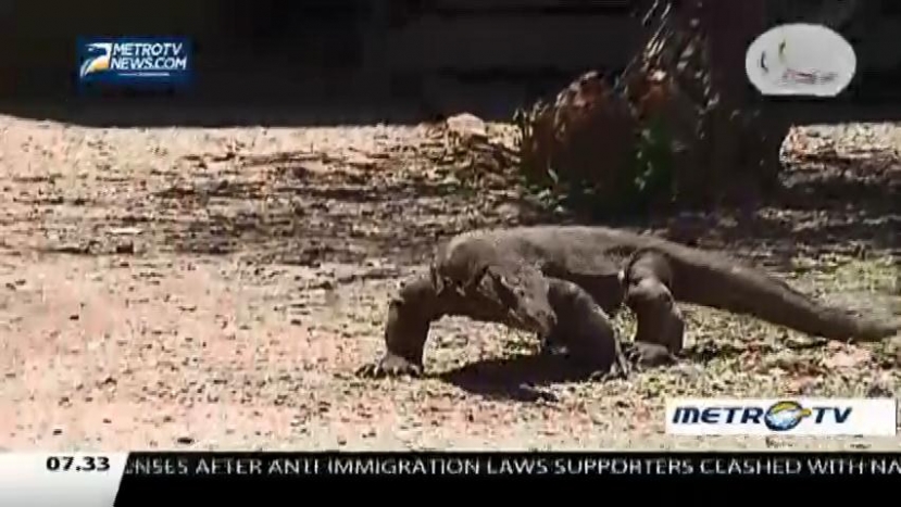 Top Destinations to Visit in Indonesia (1)