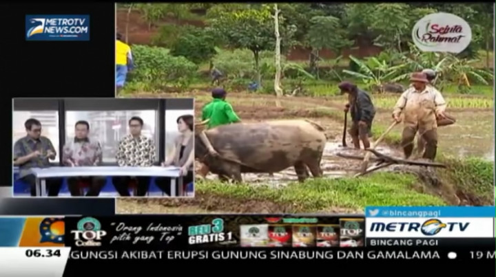 Mengadu Nasib di Kota Besar (2)