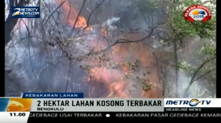 Kebakaran Lahan di Bengkulu Nyaris Menutupi Jalan Mudik